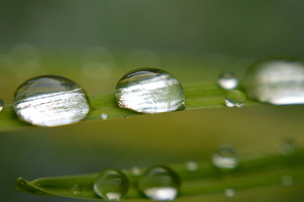 nature wallpaper, raindrop, waterdrop-7338552.jpg